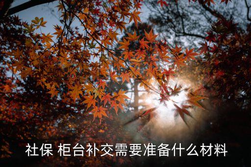 社保柜臺繳費,單位社保柜臺繳費需要什么手續...